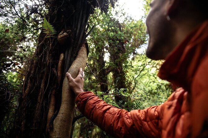 Stewart Island Guided Wilderness Walk - FAQ