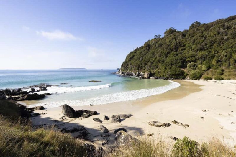 Stewart Island: Guided Wilderness Walk - Good To Know