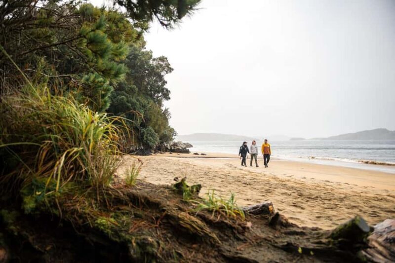 Stewart Island: Guided Wilderness Walk - FAQ