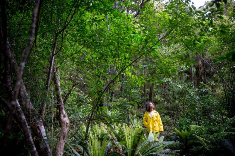 Stewart Island: Ulva Island Guided Wilderness Walk & Cruise - Good To Know