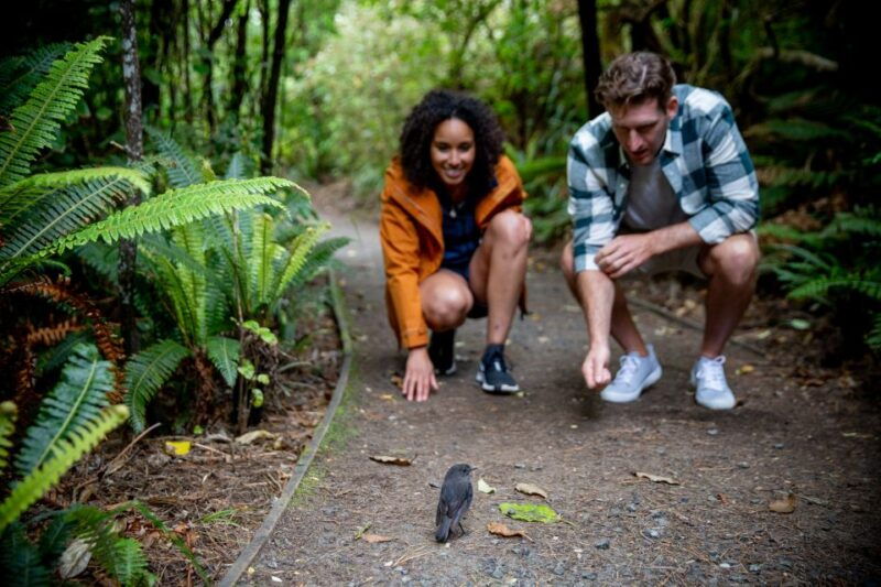 Stewart Island: Ulva Island Guided Wilderness Walk & Cruise - An Introduction to Stewart Island’s Most Enchanting Tour