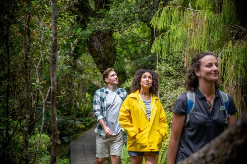 Stewart Island: Ulva Island Guided Wilderness Walk & Cruise - Final Thoughts: Is This Tour Right for You?
