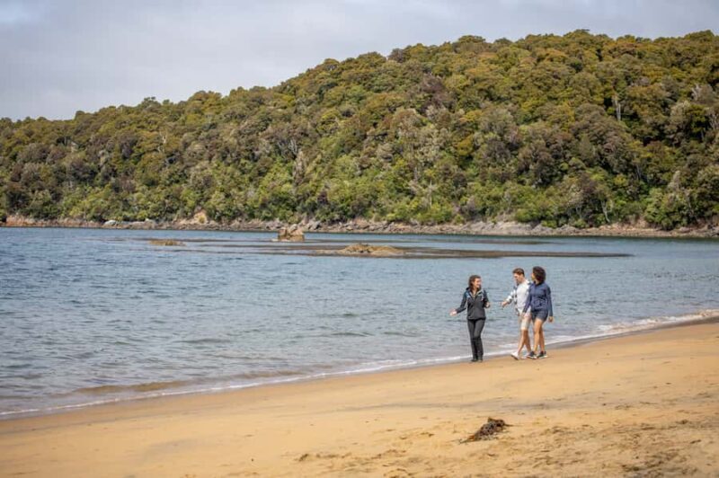 Stewart Island: Ulva Island Guided Wilderness Walk & Cruise - Authentic Experiences from Reviewers