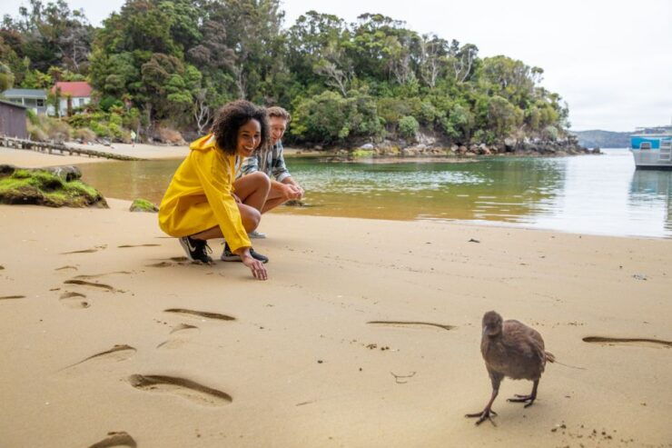 Stewart Island: Ulva Island Guided Wilderness Walk & Cruise - Activity Details and Booking Information