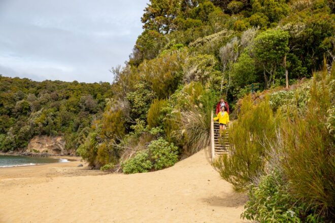 Stewart Island: Ulva Island Guided Wilderness Walk & Cruise - Location