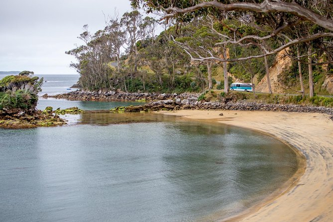 Stewart Island: Village and Bays Tour - What To Expect