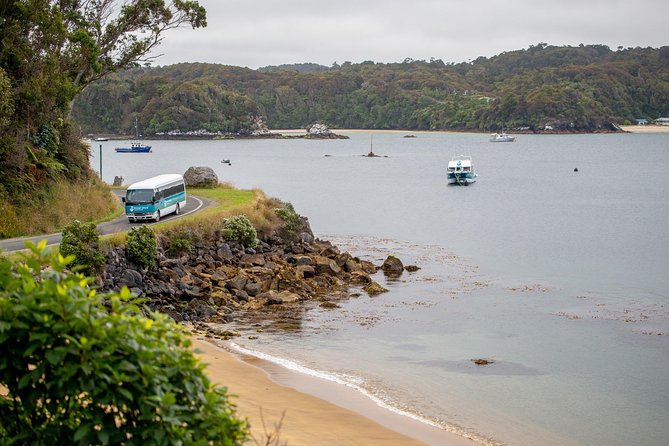 Stewart Island: Village and Bays Tour - Stops and Photo Opportunities