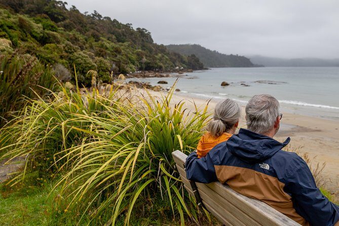 Stewart Island: Village and Bays Tour - Who Should Take This Tour?