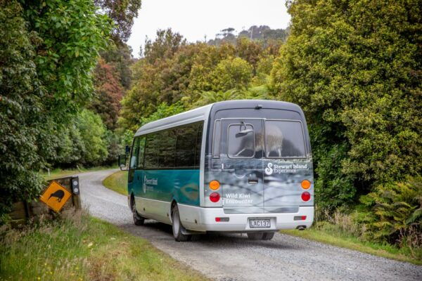 Stewart Island: Village and Bays Tour - The Sum Up