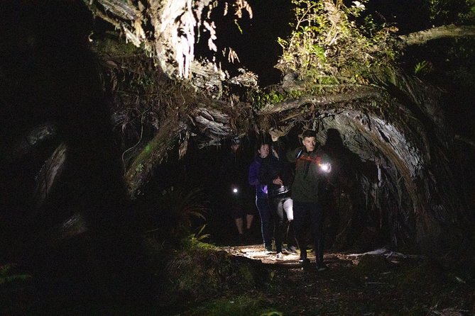 Stewart Island Wild Kiwi Encounter - Cancellation Policy