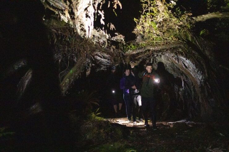 Stewart Island: Wild Kiwi Encounter - Booking Details