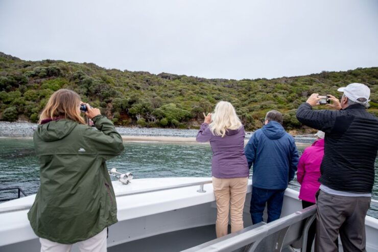 Stewart Island: Wild Kiwi Encounter - Wildlife Spotting Opportunities