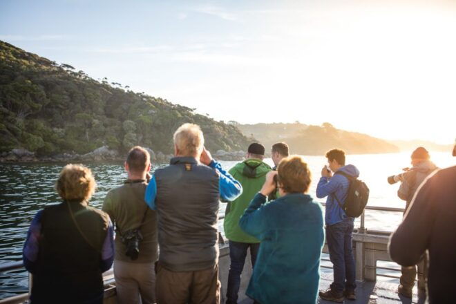 Stewart Island: Wild Kiwi Encounter - Scenic Cruise and Guided Nature Walk