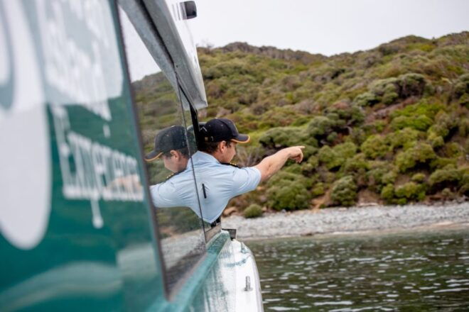 Stewart Island: Wild Kiwi Encounter - Additional Activities