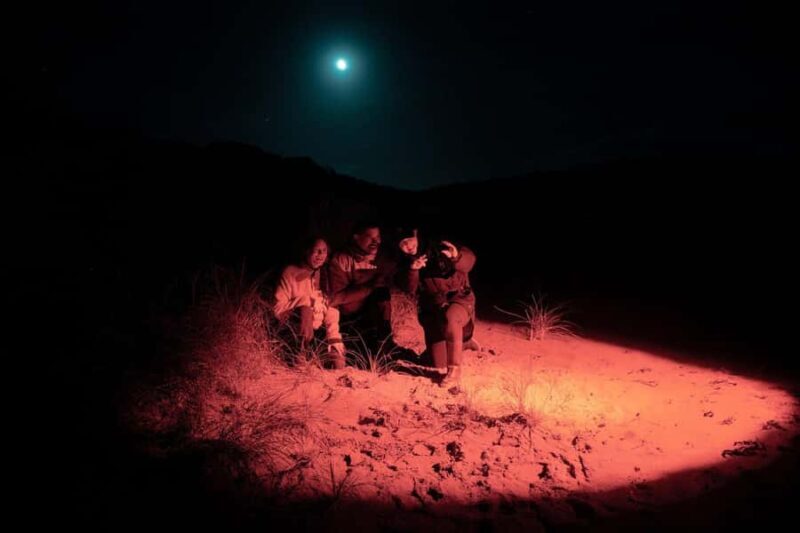 Stewart Island: Wild Kiwi Experiences - A Full Breakdown of the Experience