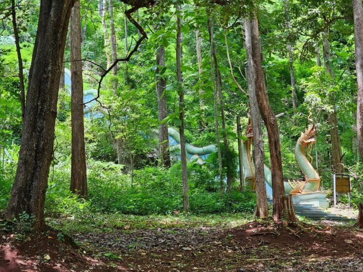 Sticky Waterfall & Wild Temple & Rare Forest Market. - Detailed Itinerary