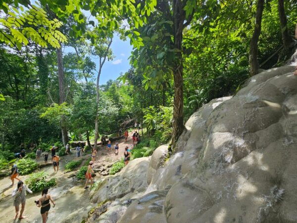 Sticky Waterfall & Wild Temple & Rare Forest Market. - Customer Feedback