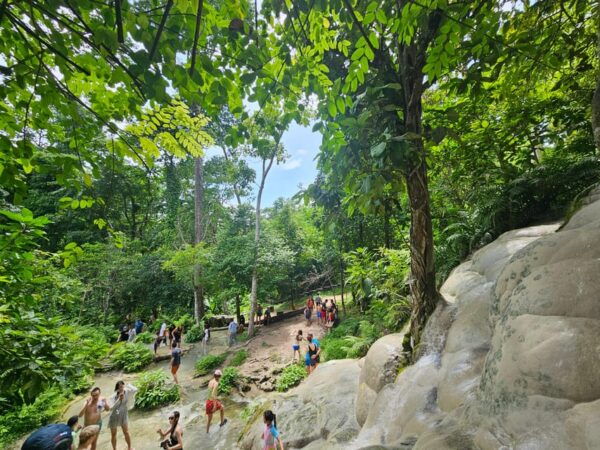 Sticky Waterfall & Wild Temple & Rare Forest Market. - Booking Information