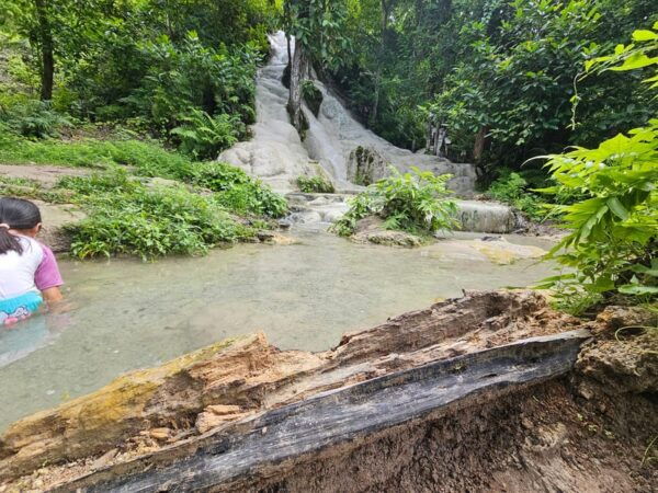 Sticky Waterfall & Wild Temple & Rare Forest Market. - Break Down