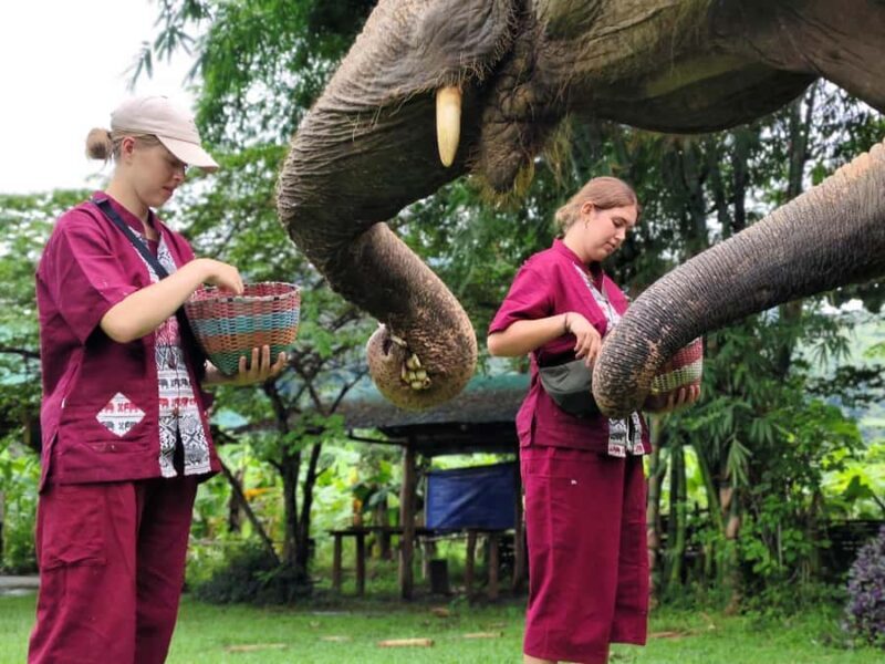 Sticky waterfalls- Elephants- Bamboo or White water rafting. - An Adventure-Packed Day in Chiang Mai