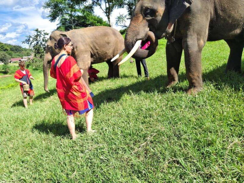 Sticky Waterfalls- Elephants- Bamboo or White Water Rafting. - Itinerary Highlights