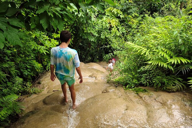 Sticky Waterfalls, Paddy Fields, Countryside, Cycling, Temples - The Sum Up