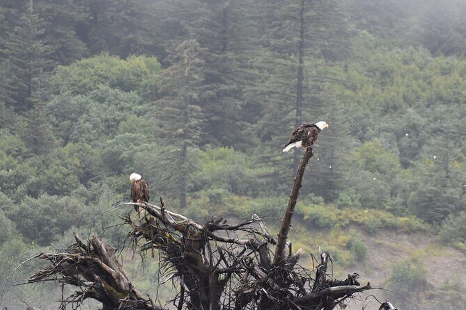 Stikine River Wilderness Tour - The Journey Up the Stikine River