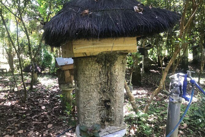Stingless Bee Honey Farm and Beekeeping Tour - Authentic Experiences Based on Reviews