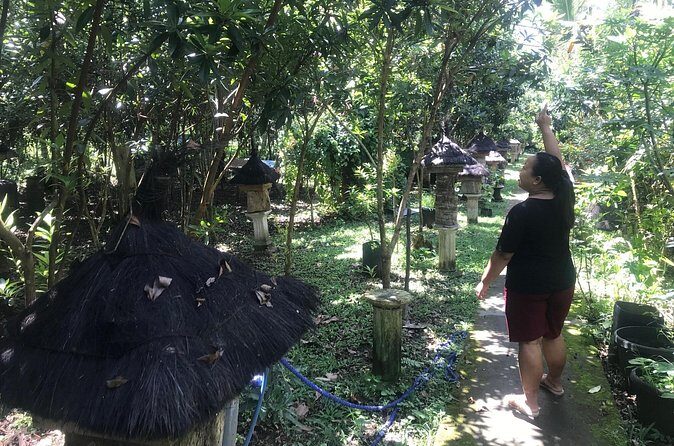 Stingless Bee Honey Farm and Beekeeping Tour - Who Should Book This Tour?