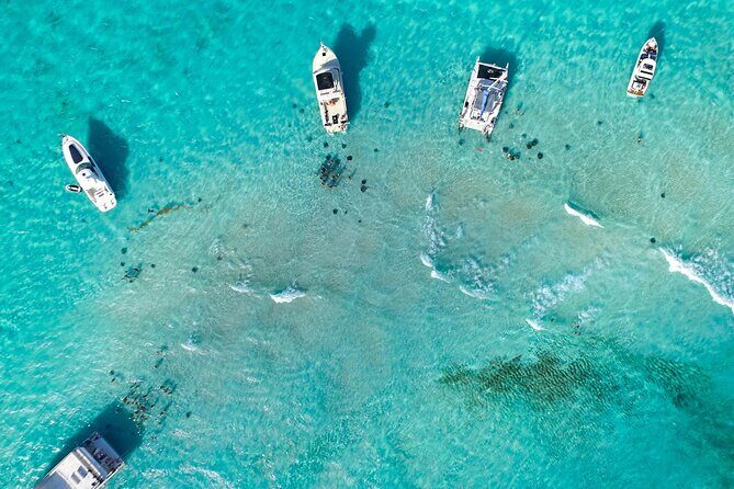 Stingray City and Two Reef Snorkeling Cayman Adventure - The Full Experience: What to Expect