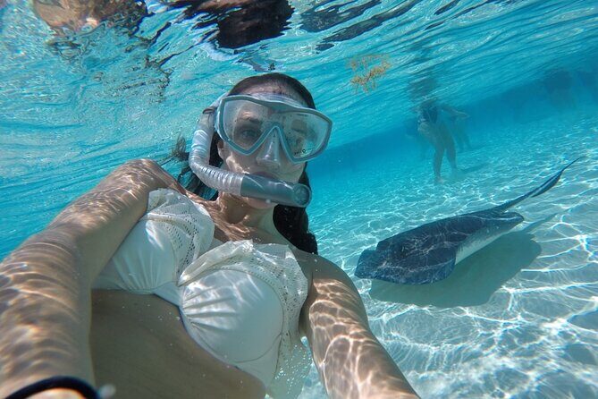 Stingray City and Two Reef Snorkeling Cayman Adventure - Possible Drawbacks or Considerations