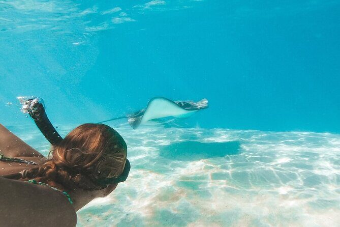 Stingray City and Two Reef Snorkeling Cayman Adventure - Who Is This Tour Best For?