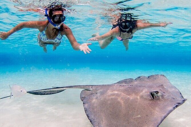 Stingray City and Two Reef Snorkeling Cayman Adventure - FAQs