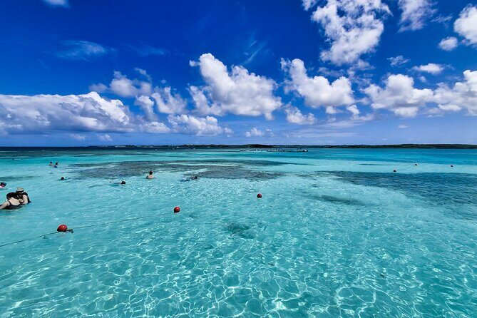 Stingray City Antigua for all the ages - ROUND TRIP INCLUDED - An In-Depth Look at the Stingray City Experience