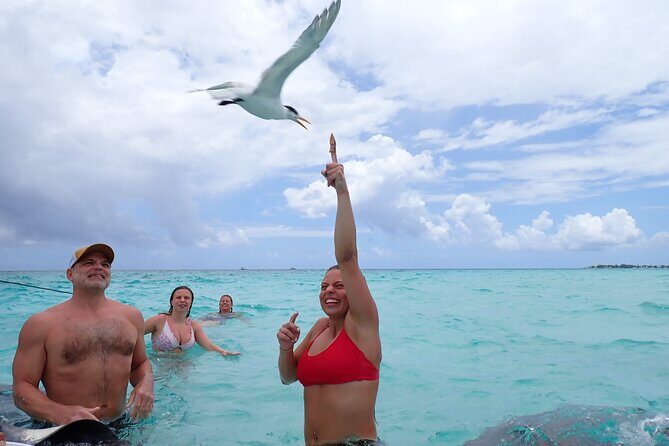 Stingray City Sandbar Experience - Who Will Love This Tour?
