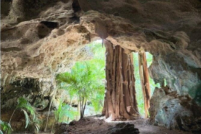 Stingrays, Starfish and Crystal Cave Adventure - Who Is This Tour Best For?