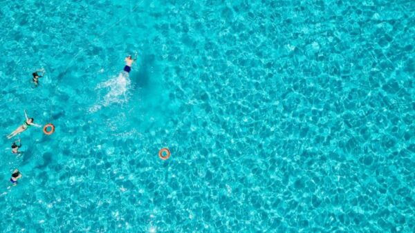 Stintino: Catamaran Excursion in the Gulf of Asinara - The Sum Up
