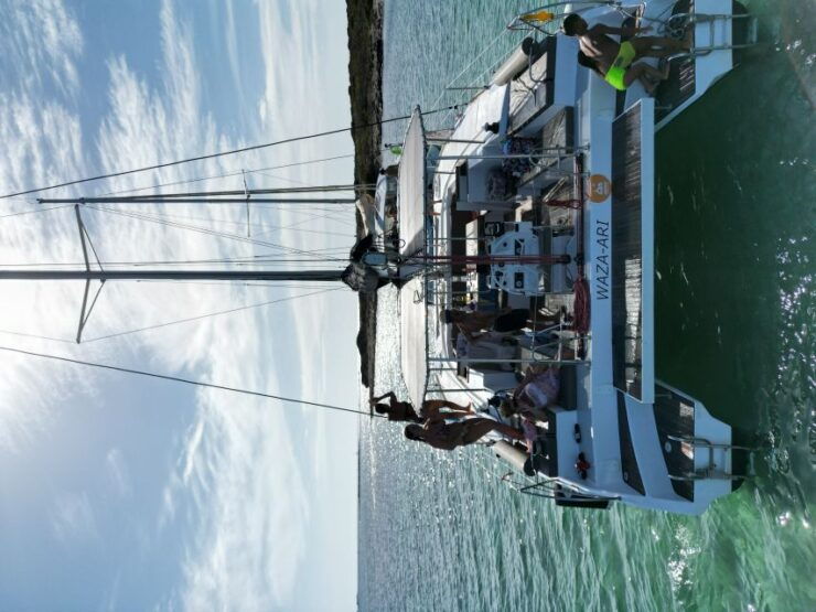Stintino: Full Day Trip Catamaran Asinara Island - Experience & Goals