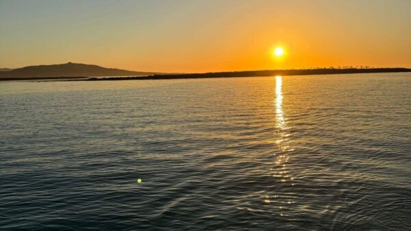 Stintino: Sunrise Excursion on a Water Bike in La Pelosa - Participant Requirements