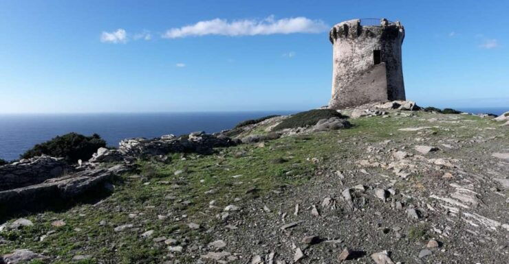 Stintino: Trekking Tour in Capo Falcone - Pricing and Duration