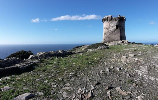 Stintino: Trekking Tour in Capo Falcone - Trekking Experience and Sightseeing