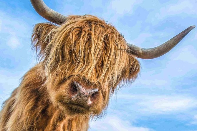 Stirling Castle Loch Lomond and Trossachs National Park Day Tour - Good To Know