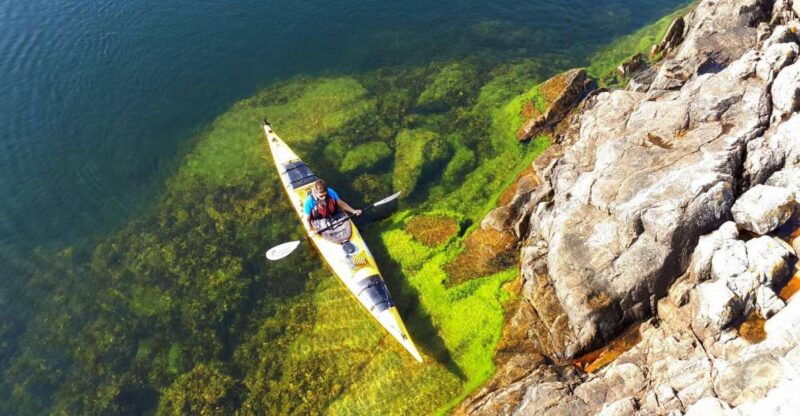 Stockholm: 1, 2, or 3-Day Kayaking Tour in the Archipelago - Practical Details and What It Means for You