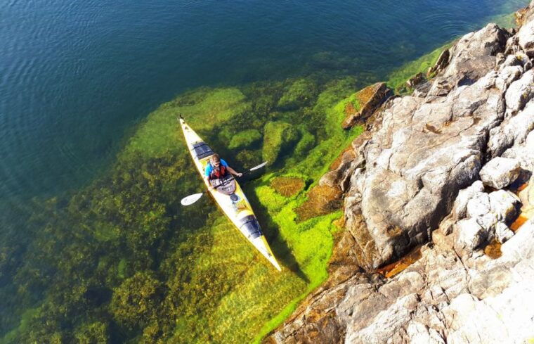 Stockholm: 1, 2, or 3-Day Kayaking Tour in the Archipelago - Final Thoughts