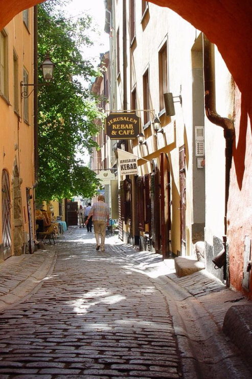 Stockholm: an 800 Year Walk in Stockholm - With a Pro Guide - Good To Know