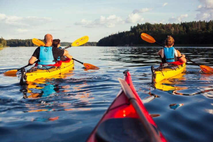 Stockholm: Archipelago Family-Friendly Private Kayaking Tour - Tour Details