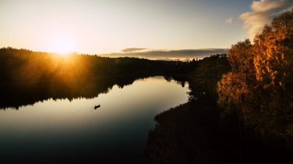 Stockholm: Canoe Adventure in Bogesund Nature Reserve - Tips for a Successful Trip