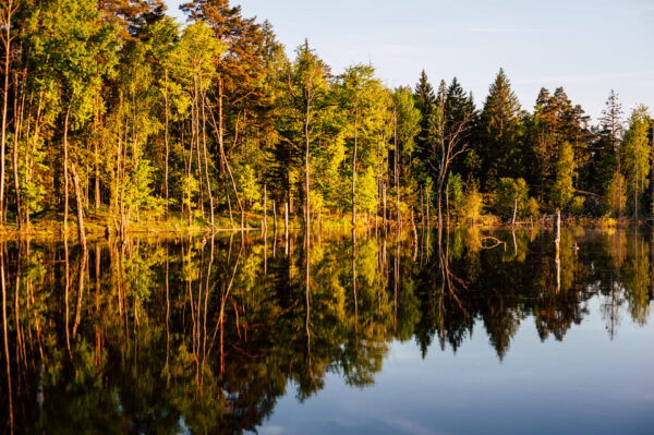 Stockholm: Canoe Adventure in Bogesund Nature Reserve - Inclusions and Recommendations