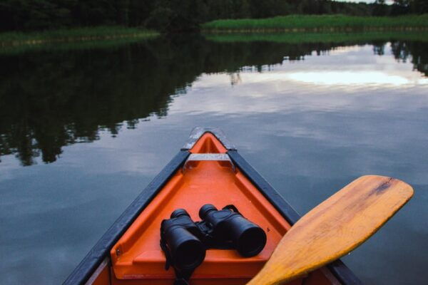 Stockholm: Canoe Adventure in Bogesund Nature Reserve - Important Considerations
