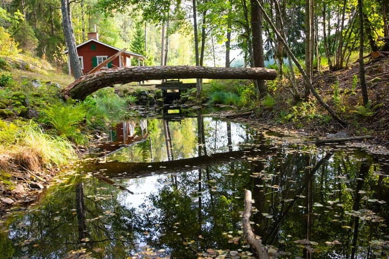 Stockholm: Canoe and Kayak Rental in Sörmland - Good To Know